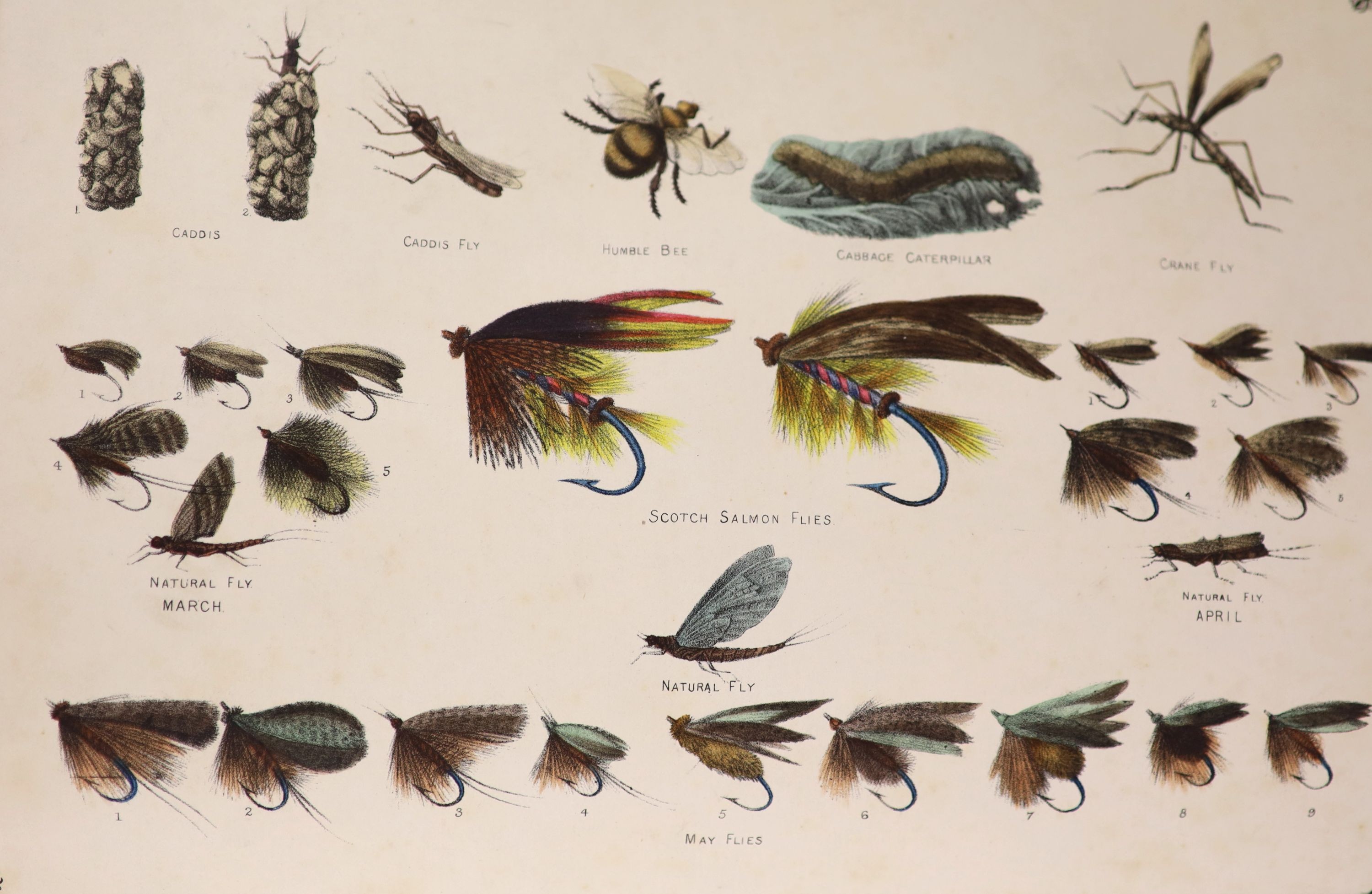 Miles, Henry Downes (editor) - The Book of Field Sports, and Library of Veterinary Knowledge. 2 Vols. Complete with 74 plates (6 of which are coloured) and numerous text illus. Half morocco and cloth, gilt ruled and pane